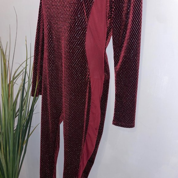 Burgundy Long Sleeve Velvet Jumpsuit - Picture 3 of 7